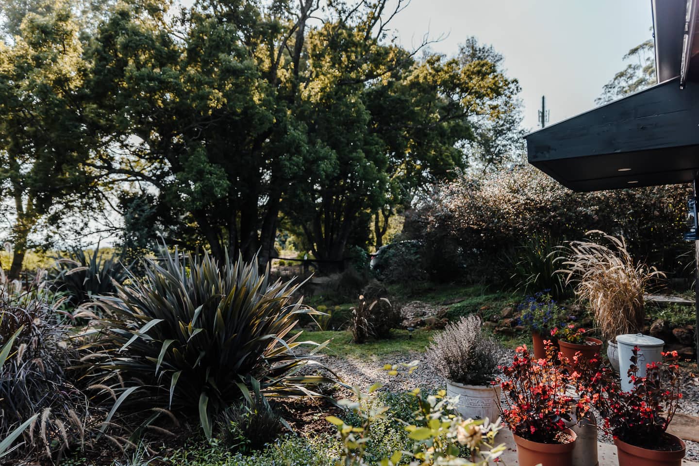 Planted beds and gravel paths in the garden